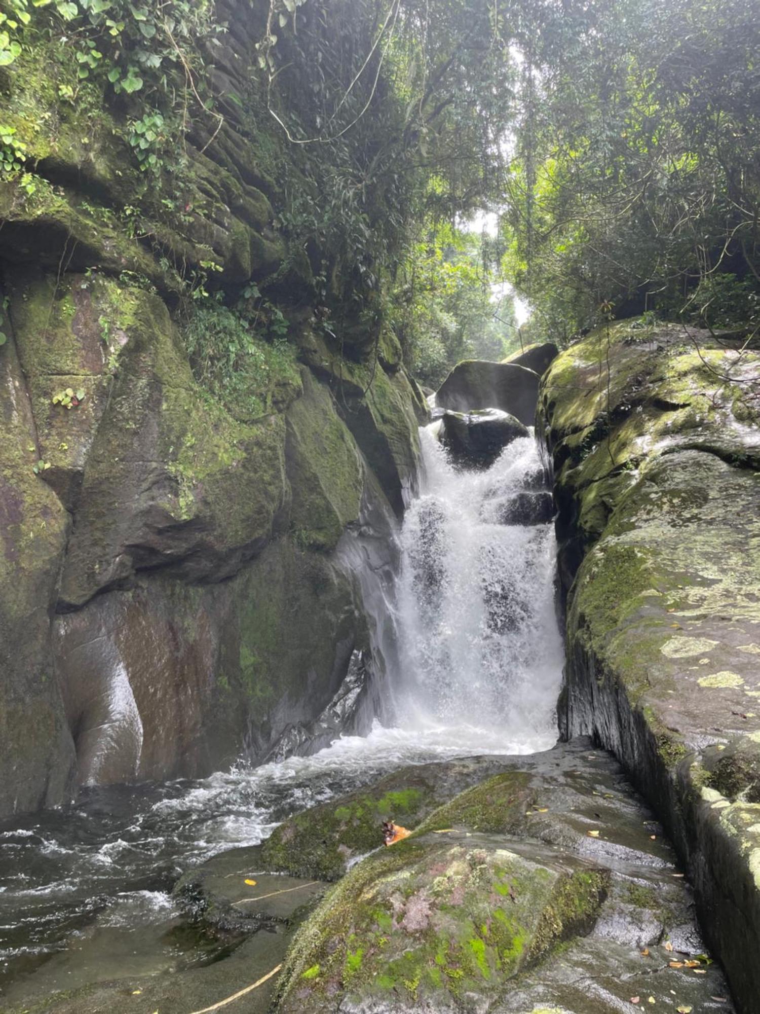 Sertão do Taquari Pousada Cachoeira De Paraty מראה חיצוני תמונה
